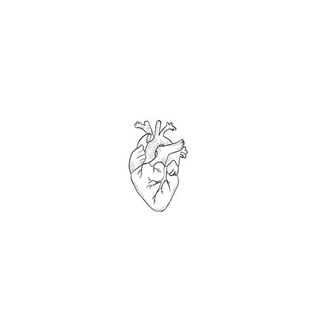 Beating Heart Tattoo, Healthcare Tattoo Ideas, Desenhos Pra Tattoo, Linework Heart Tattoo, Atomical Heart Tattoos, Human Heart Tattoo Designs, Simple Anatomical Heart Tattoo, Minimalist Tattoo Music, Anatomic Heart Tattoo