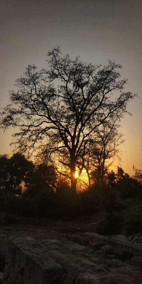 Indian Sunset, Tobi Obito, Sky Photography Nature, Plant Aesthetic, Instagram Frame, Moon Flower, Natural Gifts, Photography Nature, Sky Aesthetic