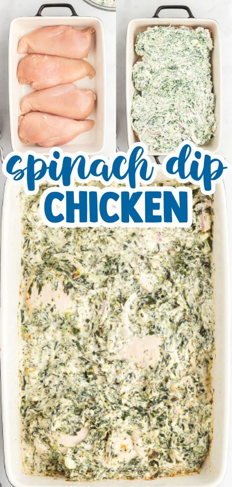 The Blogette, Spinach Dip Chicken, Creamy Baked Chicken, Broccoli Cheese Casserole Recipe, Chicken Smothered, Yellow Squash Casserole, Chicken Cordon Bleu Casserole, Broccoli Cheese Casserole, Spinach Cheese