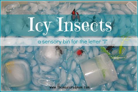 sensory bin ideas - Love the ice cube insects ..... extra ice shapes included ---- Wonderful Idea Handprint Letters, Insect Sensory Bin, Insect Sensory, Insect Project, Literacy Classroom, Daycare Themes, The Measured Mom, Preschool Sensory, Measured Mom