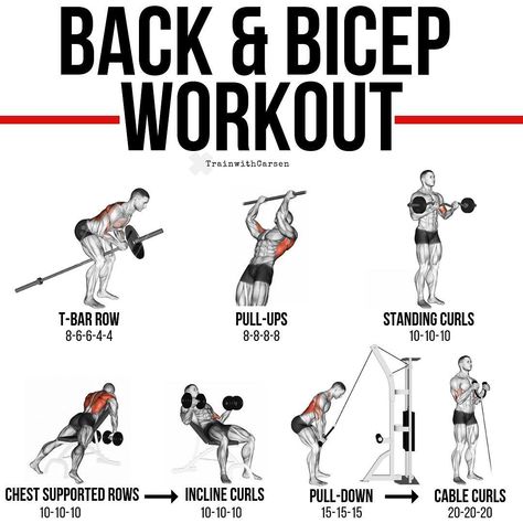 Cable Curls, Small Muscles, Strength Mobility, Back And Bicep Workout, Bicep Workout, T Bar Row, Dumbbell Curls, Muscle Building Workouts, Weight Training Workouts