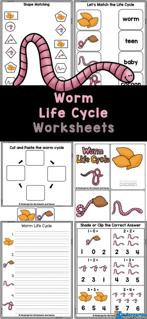 Spring is a fun time to learn about the life cycle of worms. Kids in preschool, pre-k, kindergarten, and grade 1 will love working on their math and literacy skills while completing the activities in these free printable Worm Life Cycle Worksheets. So before you go hunting for worms the rain has brought to the surface, let's learn some about these silly, squirmy earthworms! Worm Activities For Kindergarten, Worm Worksheet, Worm Life Cycle, Worms Preschool, Emergent Readers Free, Life Cycles Preschool, Free Worksheets For Kids, Time For Kids, Counting Worksheets