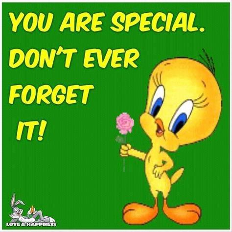 Duck Quotes, Quotes Love Life, Tweety Bird Quotes, It Pictures, Special Friend Quotes, Thinking Of You Quotes, Hug Quotes, Bird Quotes, Funny Emoticons