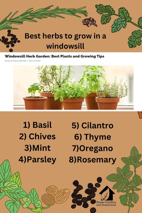 Growing a windowsill herb garden is an easy way to have fresh kitchen herbs right at your fingertips. Many herbs grow well in small pots and containers. They will thrive on a sunny windowsill in a kitchen or on a deck or patio. Patio Herbs In Pots, Diy Herb Garden Indoor Kitchen Windows, Window Sill Herbs, Kitchen Herbs Indoor, Kitchen Window Herbs, Plants In Windowsill, Bay Window Herb Garden, Kitchen Window Plants Ideas, Indoor Herb Garden Window