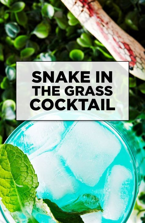 Easy Mixed Drinks, Lime Lemonade, Snake In The Grass, Mixed Drinks Alcohol, Tasty Drinks, Vodka Martini, Vodka Drinks, Cocktail Recipes Easy, Bite Me