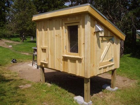 Raised Chicken Coop, House Chicken, Hatching Chickens, Small Chicken Coops, Chicken Incubator, Easy Chicken Coop, Portable Chicken Coop, Poultry House, Backyard Chicken Coop Plans