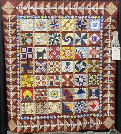 Row Quilts, Amazing Quilts, Farmers Wife Quilt, Farmers Wife, Photo Quilts, Row Quilt, The Quilt Show, Sampler Quilts, Farmer Wife