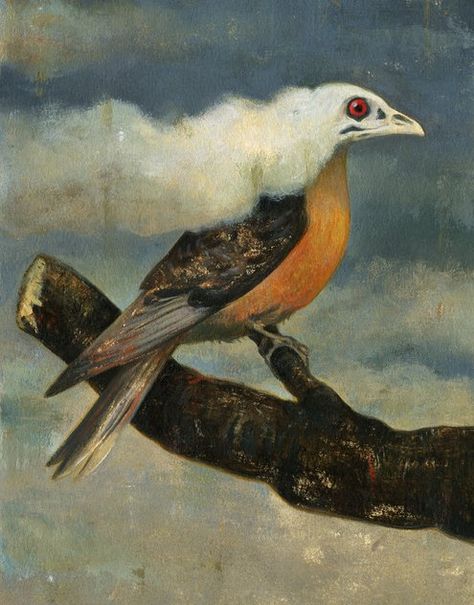 Passenger Pigeon, Bird Feathers, Ny Times, Pigeon, New York Times, Surrealism, Landscape Paintings, Beautiful Art, Passenger