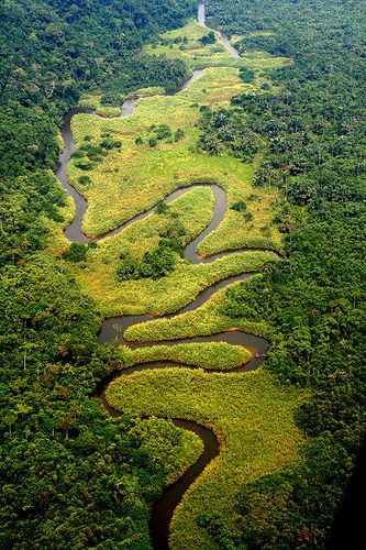 Congo River adventures. Since Andrea and I have already decided that some of our life will be spent living in Africa, naturally we will be traveling the entire continent. And we will take a peak at this river for sure. :) Congo River, Earth Pictures, Democratic Republic Of The Congo, Africa Travel, Green Trees, Lush Green, Crete, Places Around The World, Travel Bucket