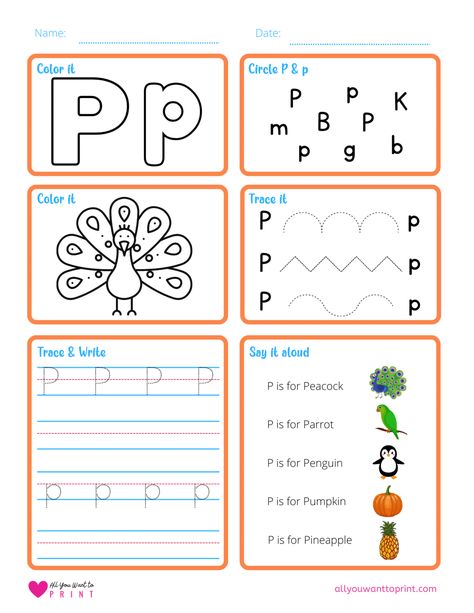 Free Printable Letter P Worksheet - 6 Activities in 1 Letter P Worksheets Kindergarten, Letter P For Preschoolers, Letter P Worksheets For Preschool, Letter P Activities For Preschool, P Worksheet, Morning Work Preschool, Letter Matching Worksheet, Letter P Worksheets, Worksheet For Preschool