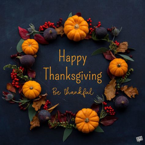 Have A Blessed Thanksgiving, Pregnancy Announcement Instagram, Happy Thanksgiving Wallpaper, Happy Thanksgiving Pictures, Fall Pregnancy, Happy Thanksgiving Images, Blessed Thanksgiving, Fall Pregnancy Announcement, Thanksgiving Pictures