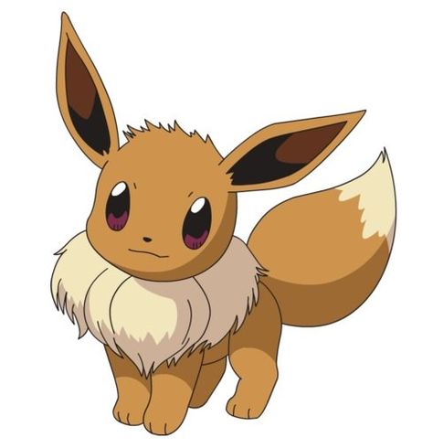 Eevee is a Normal-type Pokémon that can evolve into many different types of Pokémon. Pikachu Crochet, Pokemon Sketch, Mythical Creatures Fantasy, Pokemon Stickers, Pink Photography, Pokemon Oc, Eevee Evolutions, Pokemon Pokedex, Pokemon Eevee