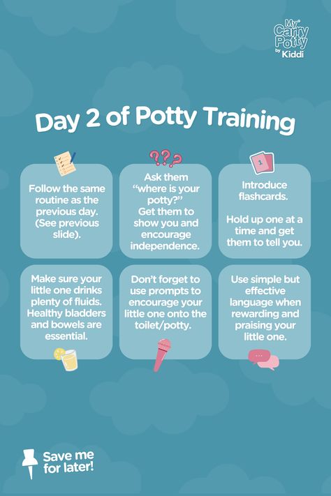 ✨🧻 THE FIRST DAYS OF POTTY TRAINING 🧻✨  Starting potty training? Here’s a quick guide for the first three days (see other pins for day 1 and 3:  Day 2  📋 Same routine. ❓ Ask, “Where’s your potty?” 📚 Use flashcards. 🍹 Ensure they drink fluids. 🎤 Use prompts. 🗣 Praise simply and effectively.  #mycarrypotty #pottytrainingtips #firstdayofpottytraining #parentingtips #portablepotty Potty Train Chart, Potty Training Toddler Boy, Potty Training Hacks, Three Day Potty Training, Baby Hospital Bag Checklist, Potty Training Guide, Easy Potty Training, Toddler Hacks, Toddler Potty