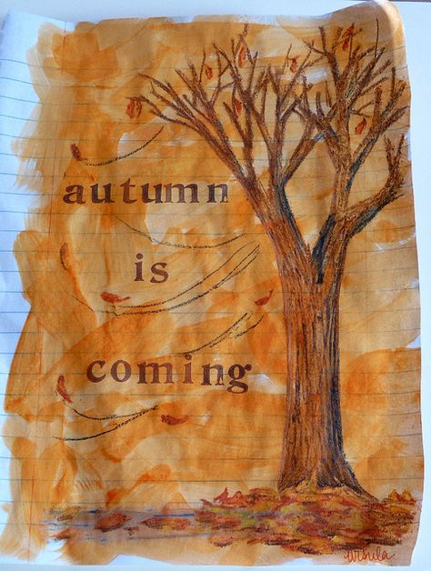 Autumn Is Coming, Quiet Storm, 22 September, Fall Is Coming, Fabulous Fall, Happy Fall Y'all, Autumn Beauty, Seasons Of The Year, Autumn Vibes