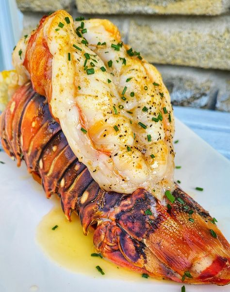 Roast Rock Lobster Tail | Kalofagas.ca Baked Lobster Tails, Lobster Recipe, Frozen Lobster, Lobster Recipes Tail, Rock Lobster, Grilled Lobster, Lobster Tail, Lobster Meat, Lobster Recipes