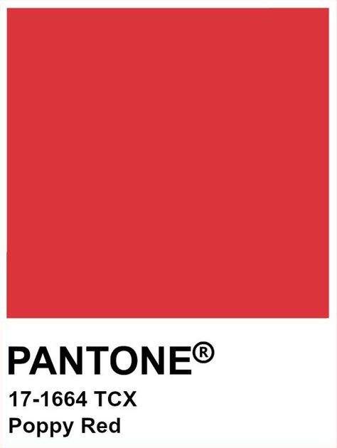 Pantone Red, Aesthetic Era, Poppy Color, Red Colour Palette, Poppy Red, Red Poppies, Wedding Colors, Bright Colors, Red Color