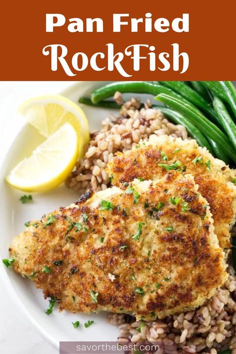 Breaded fish on a plate. Rock Fish Recipe Grilled, Rock Fish Recipe Healthy, Pan Seared Rockfish, Fried Rockfish Recipes, Rock Cod Fish Recipes, Rockfish Recipes Pan Seared, Rockfish Recipes Baked, Rockfish Recipe, Pan Fried Fish Recipes