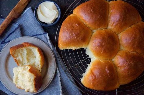 Japanese Milk Bread Rolls | King Arthur Baking Savory Buns, Tangzhong Bread, Milk Bread Rolls, Half Recipe, Stuffed Buns, Quick Dinner Rolls, Hokkaido Milk Bread, Japanese Milk Bread, Parker House Rolls