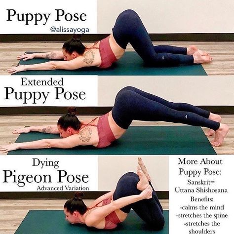 WoahYoga on Instagram: “Woahhh Tips today by @alissayoga⠀ Guide to puppy pose and variation. ⠀ Benefits👍👍 : Calm the mind, stretches the spine and stretches the…” Puppy Pose, Yoga Kundalini, Fitness Humor, Yoga Tutorial, Yoga Beginners, Trening Fitness, Yoga Posen, Yoga Iyengar, Yoga Moves