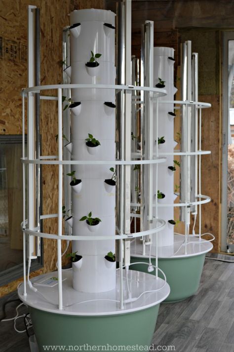 Growing Food Indoors, Hydroponic Garden, Hydroponic Farming, Hydroponics Diy, Hydroponic Growing, Tower Garden, Plant Nutrients, Aquaponics System, Juice Plus