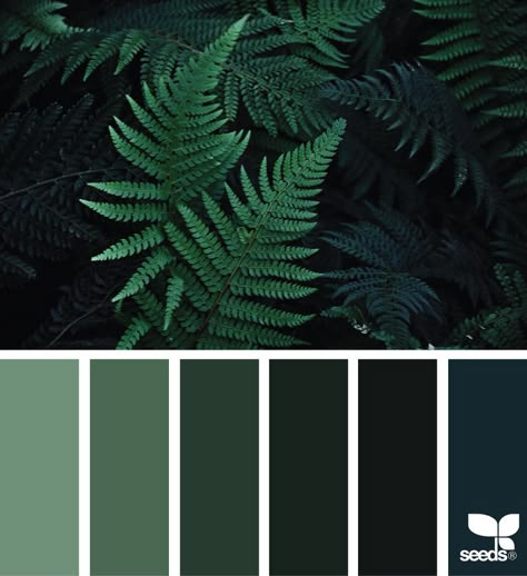 Color Nature. Black Color PaletteGreen ... Forest Green Paint Color, Green Color Schemes, Green Paint Colors, Green Colour Palette, Design Seeds, Bedroom Green, Green Paint, Nature Design, Colour Schemes