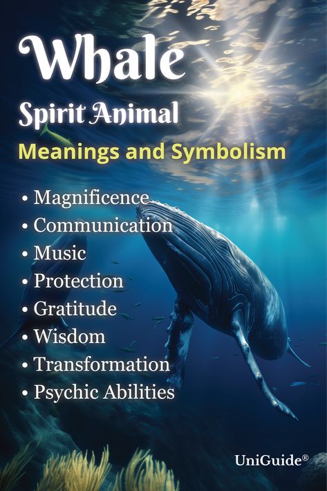 Orca Spirit Animal Meaning, Whale Spirit Animal Meaning, Whale Spirit Animal, Whale Symbolism, Charm Meanings, Whale Meaning, Native American Spirit Animals, Magickal Correspondences, Animal Signs