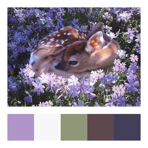 Colour Palette, 2 Colours, Color Palette, Deer, Animals, Color, Art