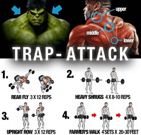 Trap Workout, Fitness Workout Plan, Traps Workout, Fitness Studio Training, Workout Man, Dynamic Stretching, Gym Antrenmanları, Workout Muscle, Full Workout