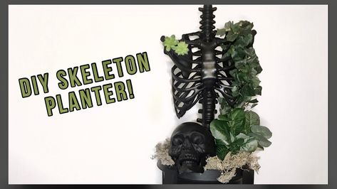 how to make a planter from a halloween skeleton! plus how to make a plant stand! Skeleton Torso With Flowers Diy, Gothic Backyard, Make A Plant Stand, Skeleton Planter, Goth Decor Diy, Diy Gothic Decor, Diy Skeleton, Goth Garden, Spooky Home Decor