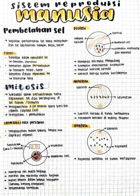 Medical Terminology Study, Study Biology, School Study Ideas, School Organization Notes, Science Notes, School Materials, Study Board, Study Motivation Quotes, Medical Knowledge