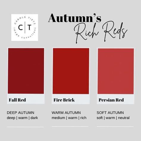 AUTUMN REDS Allow the warm hues of autumn to envelop you in a luxurious embrace, as you embrace the deep, velvety red tones that epitomize the season. When coupled with soft tans and rich reddish browns, these colors create a striking palette that exudes elegance and refinement. Elevate your style with a touch of sophistication by incorporating these shades into your wardrobe, allowing your outfits to reflect the beauty and richness of the fall season. #imageconsultant #autumnseasonalcolorp... Image Consultant, Warm Red, Brown Shades, Reddish Brown, Warm Autumn, Cherry Red, The Deep, Fall Season, The Fall