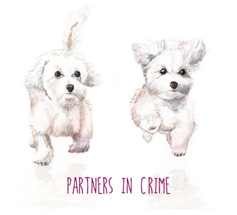 #BestFriendsInFourWords~ Forever Partners In Crime. Dedicate this #ecard to your #bestfriend & cherish your bond of #friendship. Wolf Nursery, White Maltese, Dog Home Decor, Baby Wolf, Coton De Tulear, Dog Runs, Dog Paintings, White Home, Dog Print