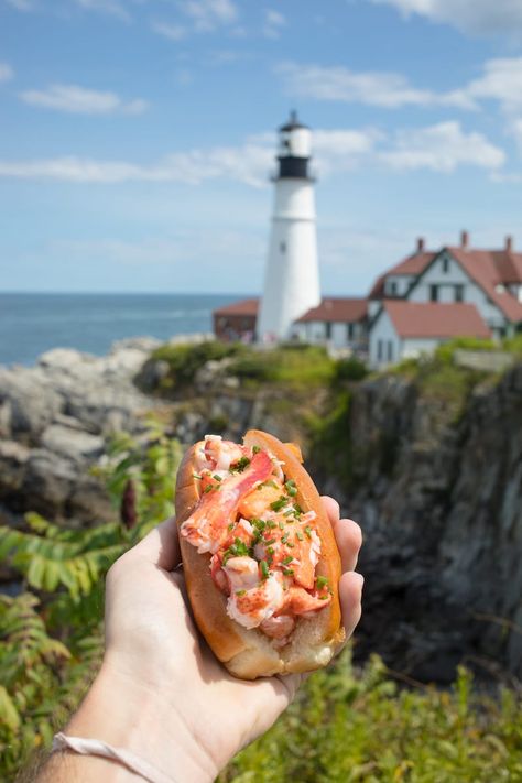 Island Creek Oysters, Scarborough Maine, Boothbay Harbor Maine, Best Lobster Roll, Ogunquit Maine, Lobster Shack, Maine New England, York Maine, Beef Cheeks