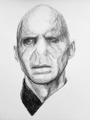 Daughter Of The Dark Lord Drawing Ideas Harry Potter, Voldemort Drawing, Fanart Harry Potter, Harry Potter Portraits, Harry Potter Sketch, Harry Potter Dobby, Harry Potter Wallpaper Phone, Harry Potter Voldemort, Ideas For Drawing