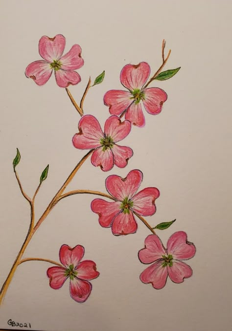 Colour Pencil Art Flowers, Colour Pencil Drawing Easy Flower, Simple Drawing With Colored Pencils, Colored Pencil Art Easy Ideas Flower, Flower Crayon Drawing, A Bouquet Of Flowers Drawing, Colour Full Drawing, Pencil Colour Sketches Easy, Flower Drawing With Color