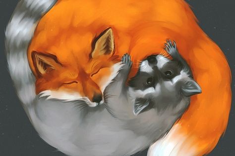 Raccoon And Fox Art, Blitz Wallpaper, Red Panda Tattoo, Fox And Raccoon, Otter Illustration, Raccoon Drawing, Raccoon Art, Panda Tattoo, Bee Drawing