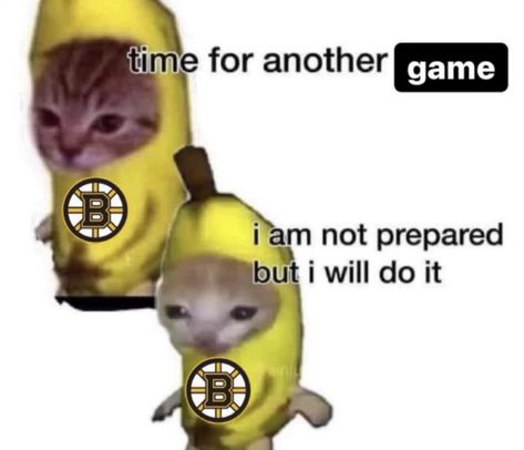 #nhl #bostonbruins Boston Bruins Funny, Boston Bruins Wallpaper, Hockey Bf, Poke The Bear, Hockey Stuff, Boston Bruins, Kraken, Ice Hockey, Nhl