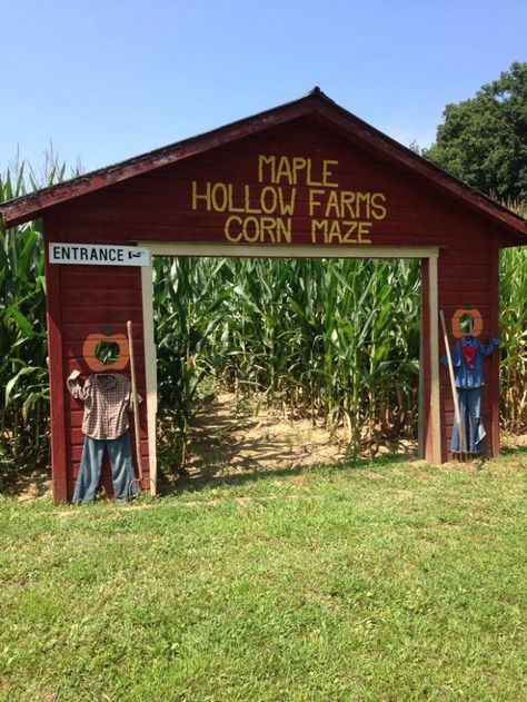 3. Maple Hollow Farms (West Lafayette) Corn Maze Entrance, Pumpkin Patch Fence, Farm Festival Ideas, Maze Entrance, Hay Bale Fall Decor, Farm Signs Entrance, Agritourism Farms, Pumpkin Patch Corn Maze, Farm Festival