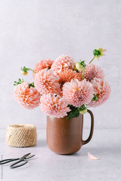 Light Pink Dahlia Bouquet, Dahlia Bouquet Aesthetic, Ranunculus Wedding Flowers, Pink Dahlia Bouquet, Dahlia Flower Aesthetic, Dahlia Flower Bouquet, Warrior Archetype, Dahlias Bouquet, Dahlia Wallpaper