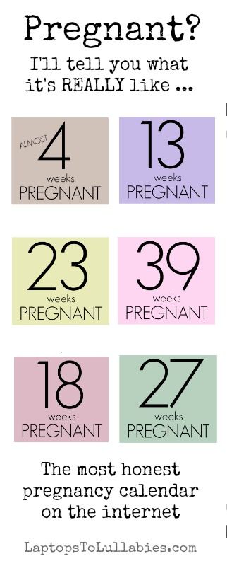 Pregnancy By Week, Weeks Months Pregnant, Weeks In Months Pregnancy, Pregnant Calendar, Pregnancy Conception Calendar, Conception Calendar, When To Get Pregnant Calendar Due Date, Pregnant Calendar Due Date, 17 Weeks Pregnant