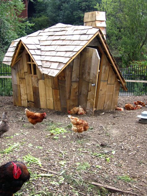 Funky chicken coop! Chicken Coop Blueprints, Portable Chicken Coop, Chicken Pen, Diy Chicken Coop Plans, Chicken Coop Run, Coop Design, Best Chicken Coop, Chicken Coop Designs, Keeping Chickens