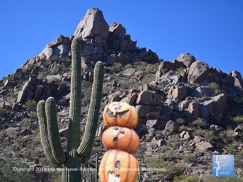 31 ways to make it feel like fall/#Halloween even if you live in Southern #Arizona! Arizona Autumn, Fall In Arizona, Arizona In September, Arizona Halloween, Arizona Gothic, Superstition Mountains Arizona, Desert Living, Event Activities, Travel List