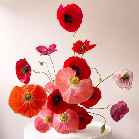 Flowers Instagram, Flower Ideas, Poppy Flower, Mother Earth, Mother Nature, Paper Flowers, Flower Arrangements, Poppies, Wedding Flowers