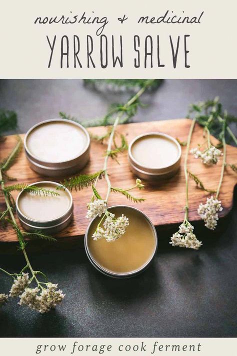 Get started with herbal skin care with our yarrow salve recipe. Known for its myriad of medicinal benefits, this herbal salve recipe combines the wonders of medicinal flowers with the art of herbalism. A must-try for those looking for natural remedies to nourish the skin. #HomeRemediesToCureCold Making Herbal Salves, Yarrow Salve Recipe, Golden Rod Salve Benefits, Honey Salve, Yarrow Salve, Herbal Salve Recipes, Medicinal Flowers, Yarrow Plant, Herbal Remedies Recipes