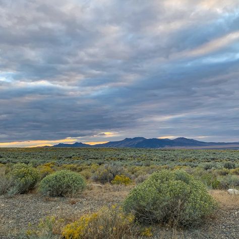 Winnemucca Nevada, California Zephyr, Northern Nevada, Nevada Travel, Air Balloon Rides, Mountain Biker, Back Road, City Limits, American West