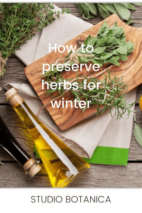 How to Preserve Herbs for Winter - Studio Botanica How To Preserve Herbs, Preserve Herbs, Preserving Herbs, Harvesting Herbs, Herb Garden, Fresh Herbs, Be Perfect, Wedding Inspo, To Learn