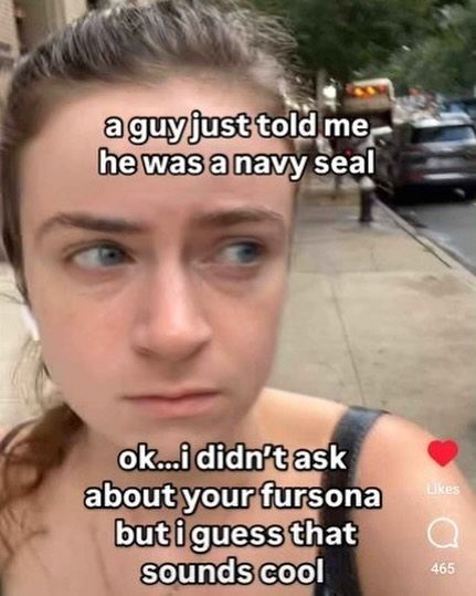 Lowkey w fursona Seal Fursona, Navy Seal, A Seal, Navy Seals, Funny Funny, Random Memes, Juicer, F U, No Way