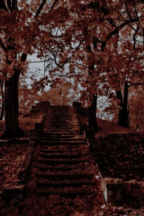 Fall Asthetic Photos, Computer Wallpaper Desktop Wallpapers, Hogwarts Aesthetic, Color Vibe, Dark Autumn, Jewelry Travel, Halloween Wallpaper Iphone, Travel Australia, Travel Family