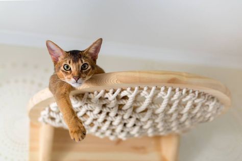 Ikea Hacks For Cats, Ikea Cat, Diy Cat Tower, Unique Cat Trees, Cat Tree Designs, Cat Climbing Shelves, Diy Chat, Kat Diy, Chat Diy