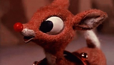 Rudolph Haha GIF - Rudolph Haha Hehe - Discover & Share GIFs Christmas Rudolph, Holiday Gif, Cute Christmas Decorations, Rudolph Christmas, Emoji Birthday, Christmas Dance, Merry Christmas Images, Christmas Hearts, Frosty The Snowmen